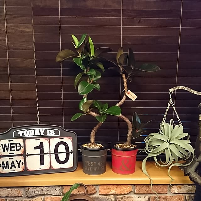 torao.jdさんの実例写真