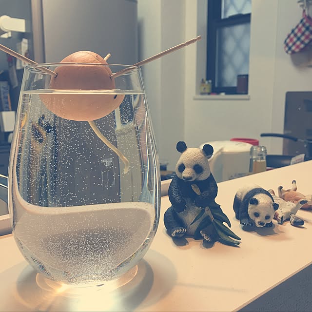 gumiminさんの実例写真