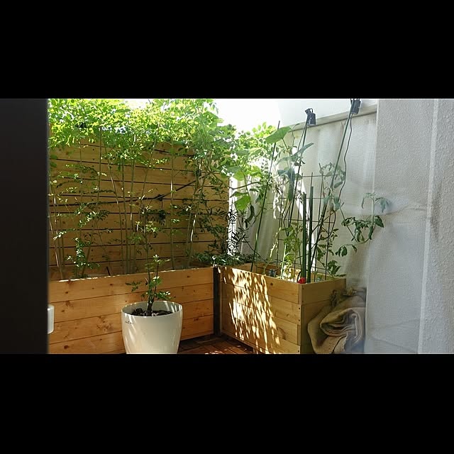 NKGardenさんの実例写真