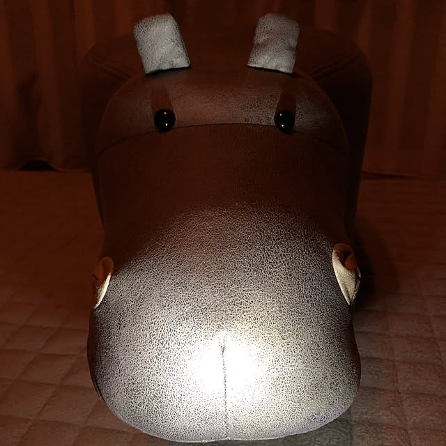 mangoさんの実例写真