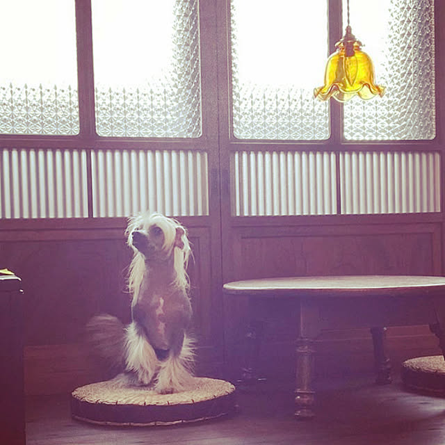 candykoさんの実例写真