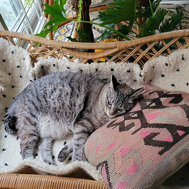 neoさんの実例写真