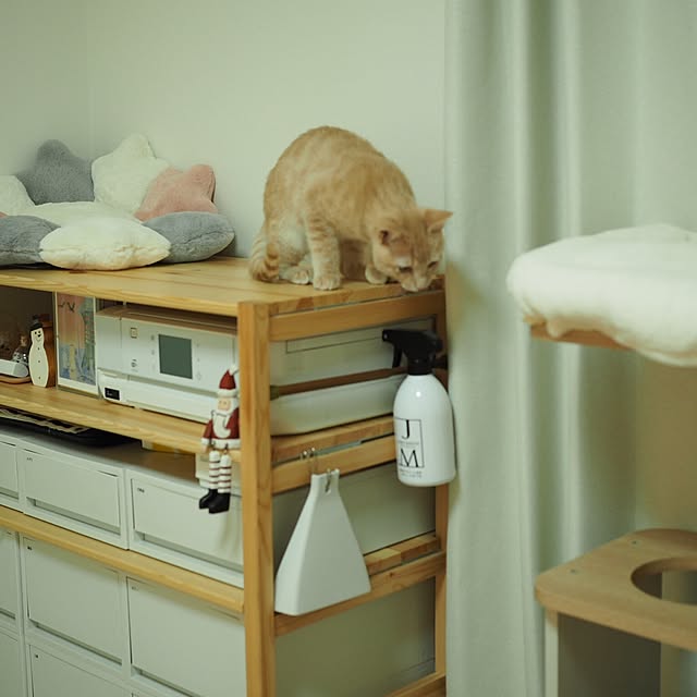 Chamさんの実例写真