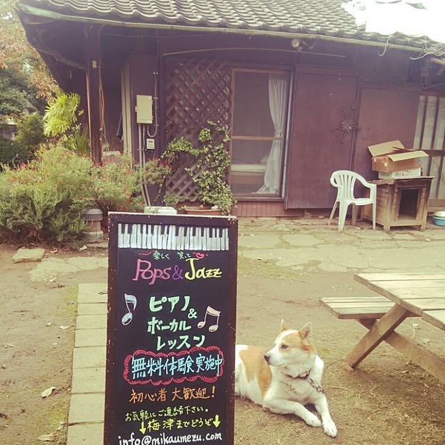 mikaplumさんの実例写真