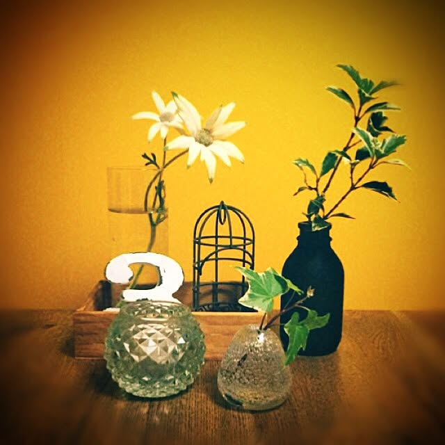 rikeibunkeiyomeさんの実例写真