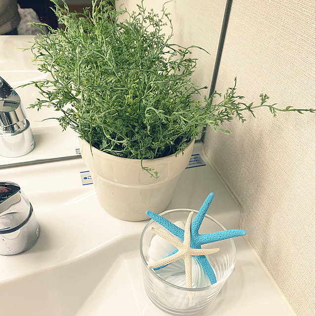 Masakoさんの実例写真
