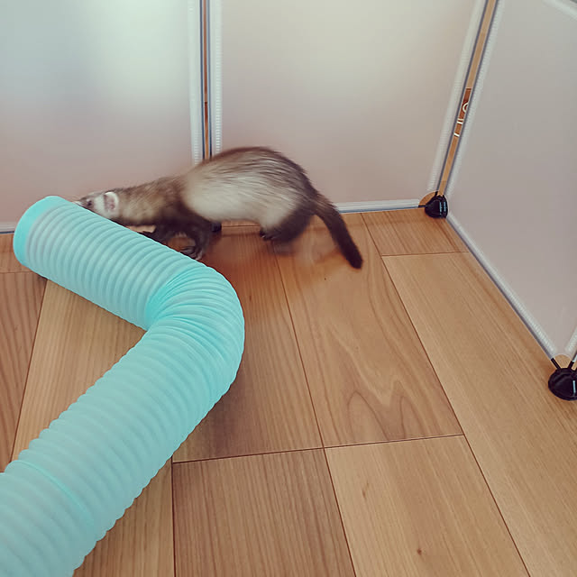 chokocreamさんの実例写真