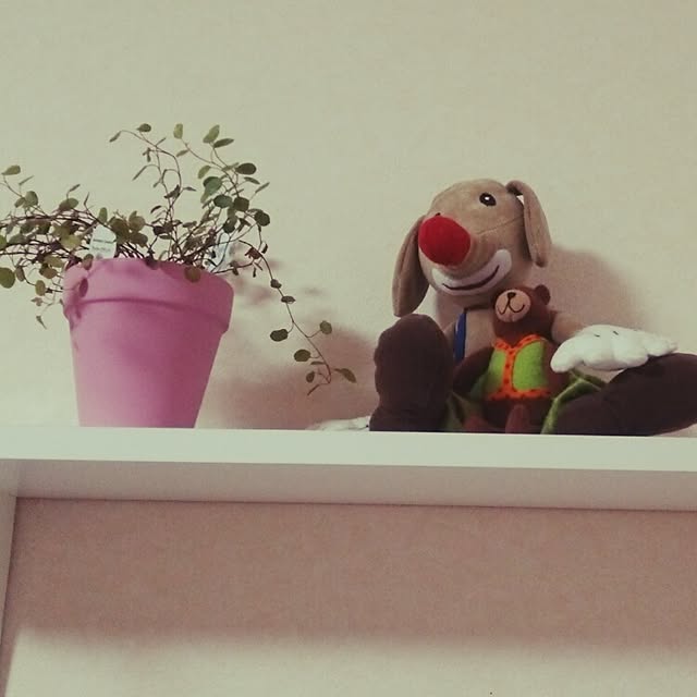 shin-tanさんの実例写真