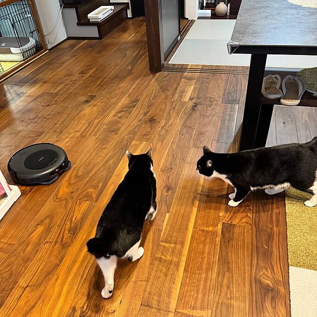 porinさんの部屋