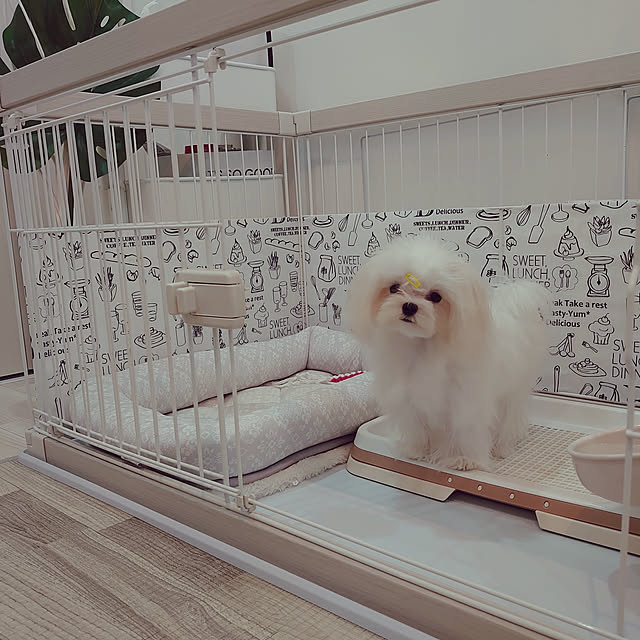 Baby_mさんの実例写真