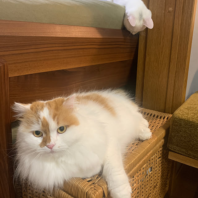 keiさんの実例写真