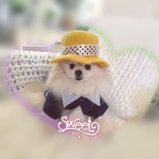 Mopmamaさんの実例写真