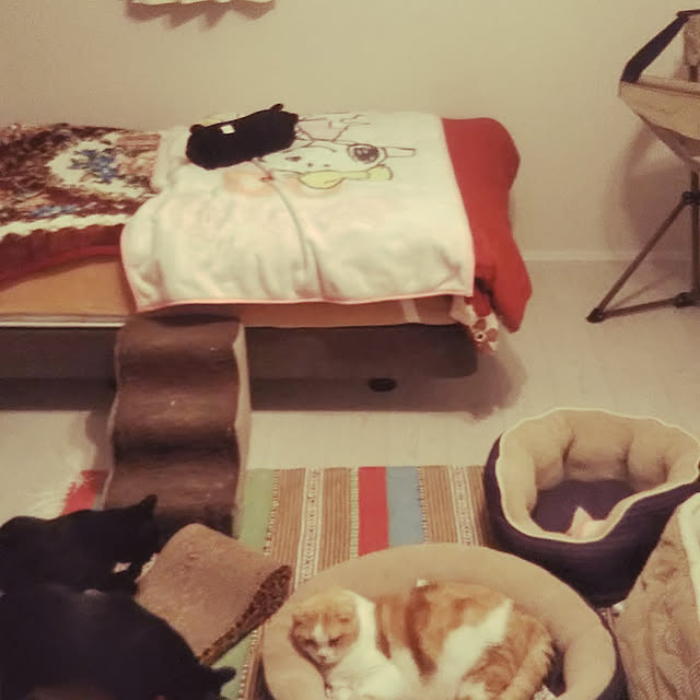 yucchiさんの実例写真