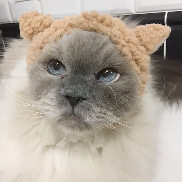 yuchiさんの実例写真