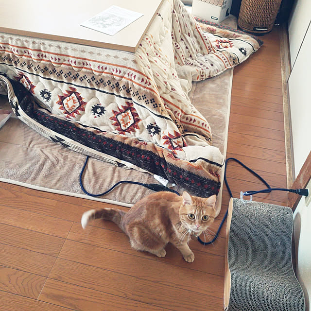 fruityanさんの実例写真