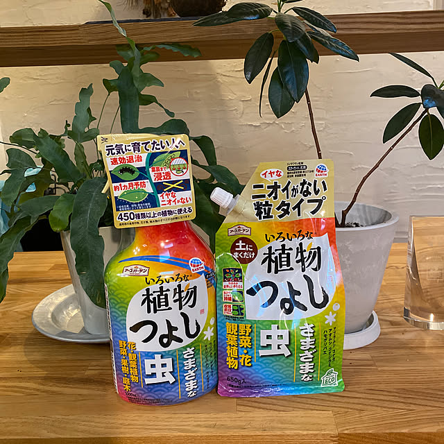 sznoieさんの実例写真