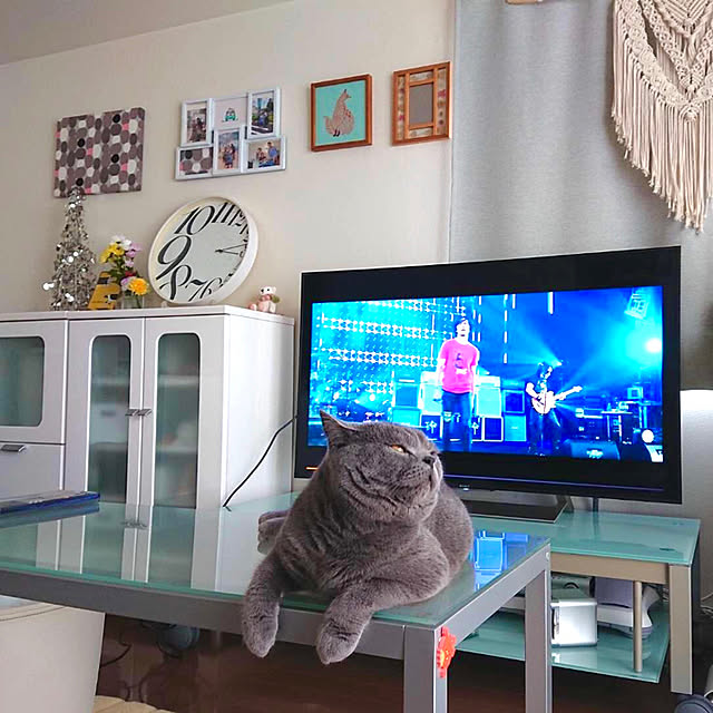 kittyさんの実例写真