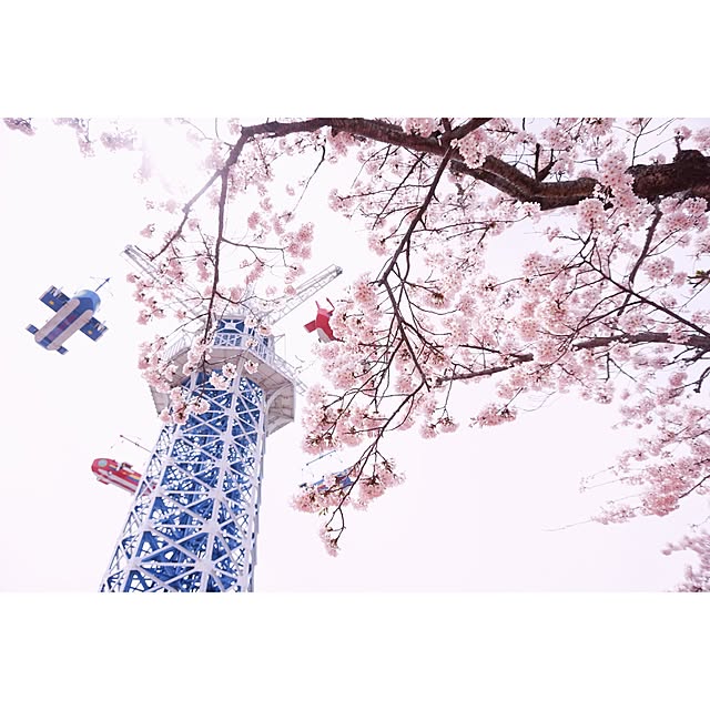 実例写真