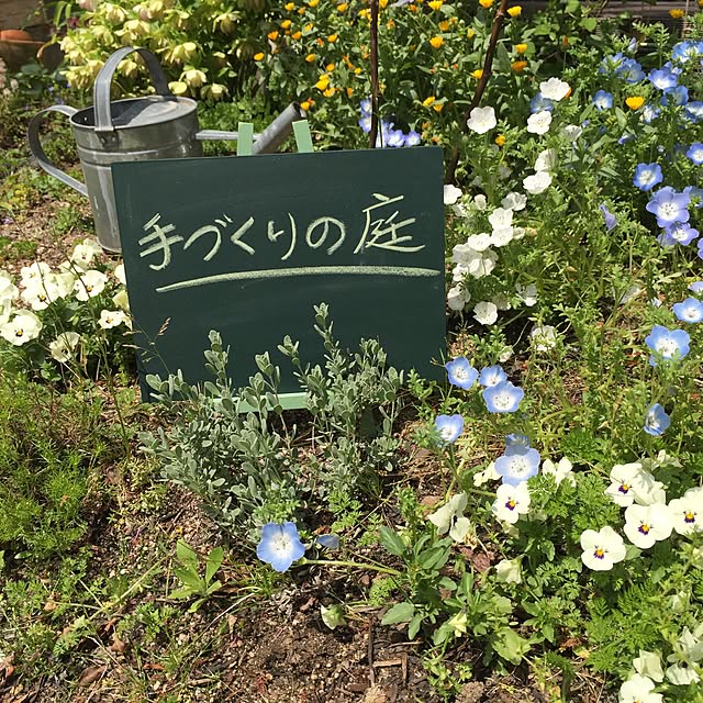 cherryさんの実例写真