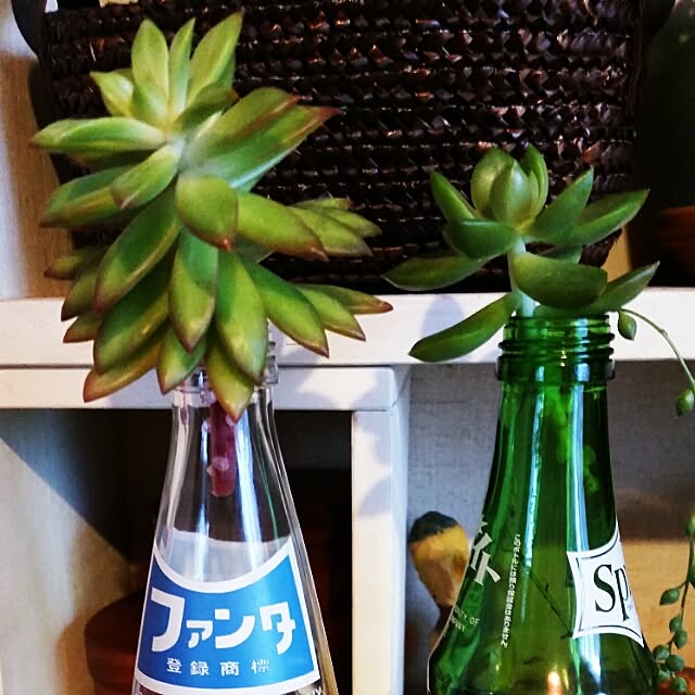 midoさんの実例写真