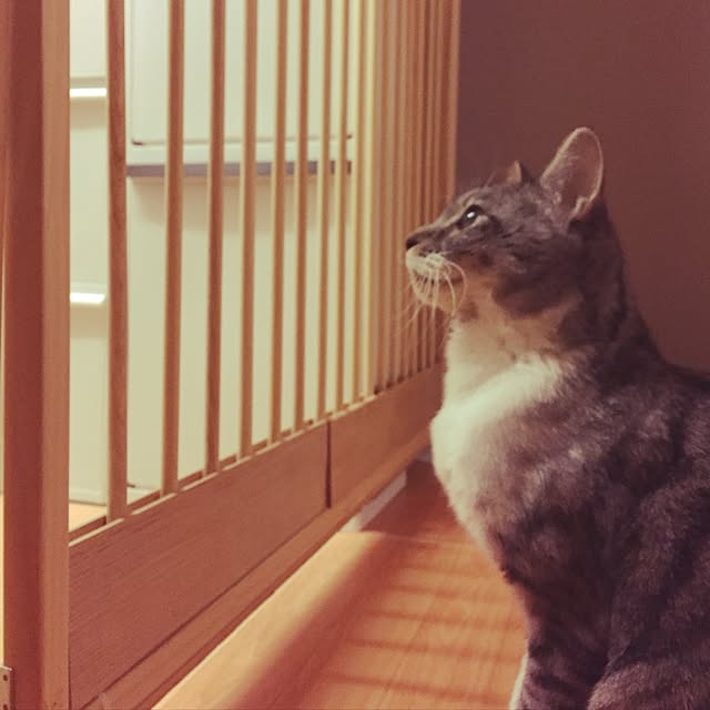 muuさんの実例写真