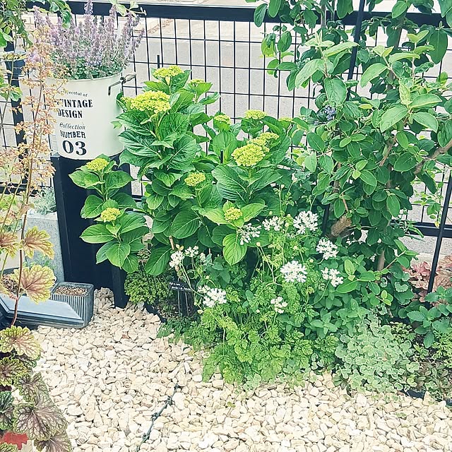 kaanaさんの実例写真