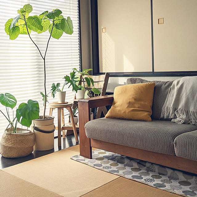 部屋全体/RoomClipアンケート/IKEA/ソファー/観葉植物...などのインテリア実例 - 2021-10-11 08:42:06