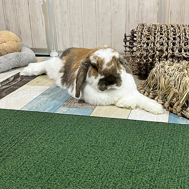 touriさんの部屋
