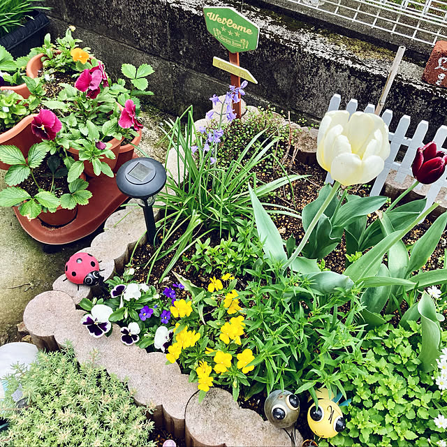 CoCo0617さんの実例写真