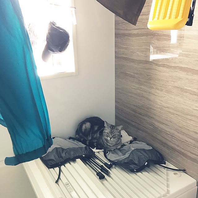 mikomaruさんの実例写真