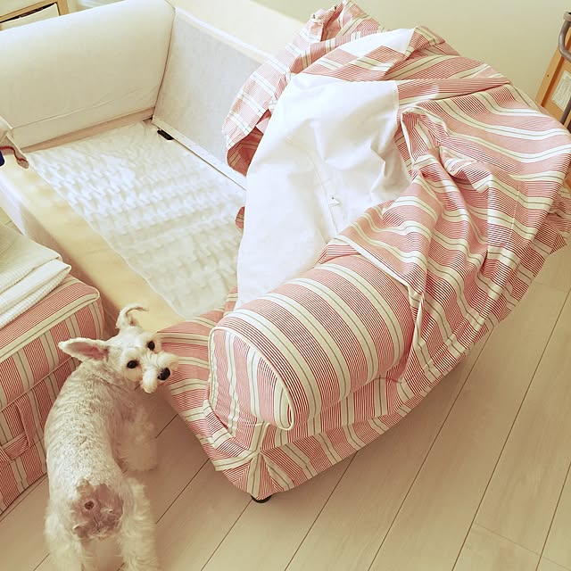 suzyさんの実例写真