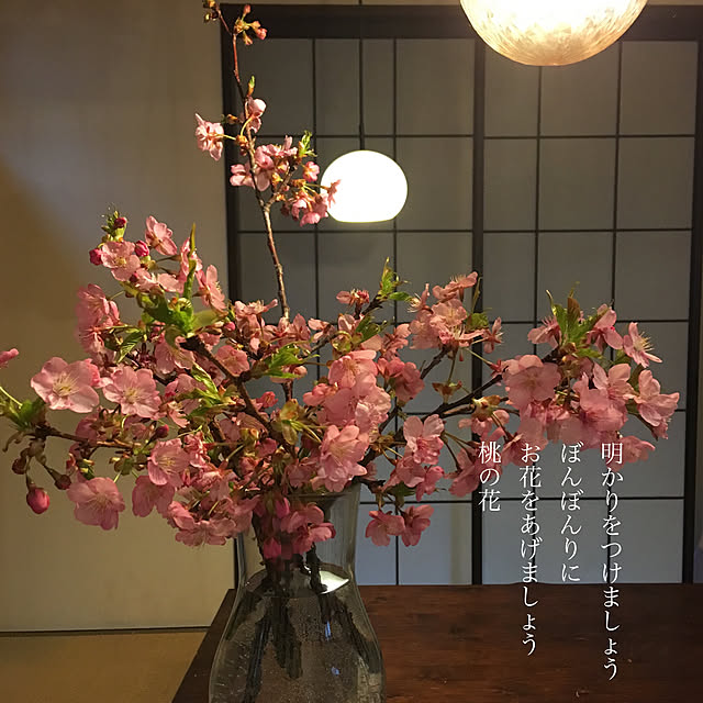 misaさんの実例写真