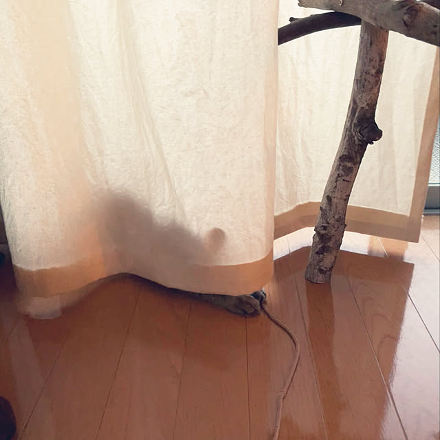 Mさんの実例写真