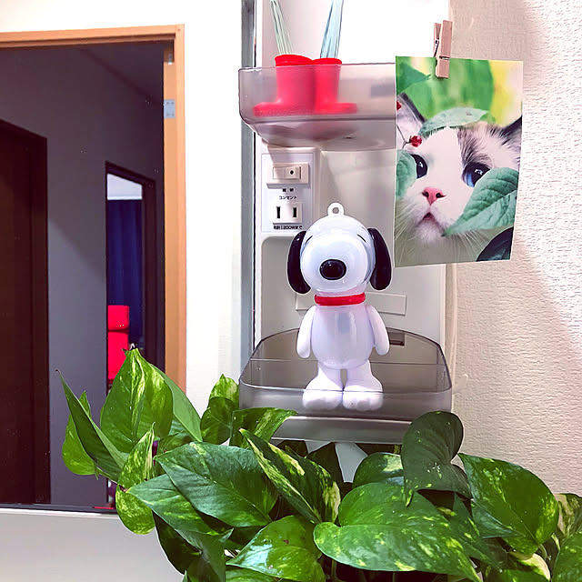koyuriさんの実例写真