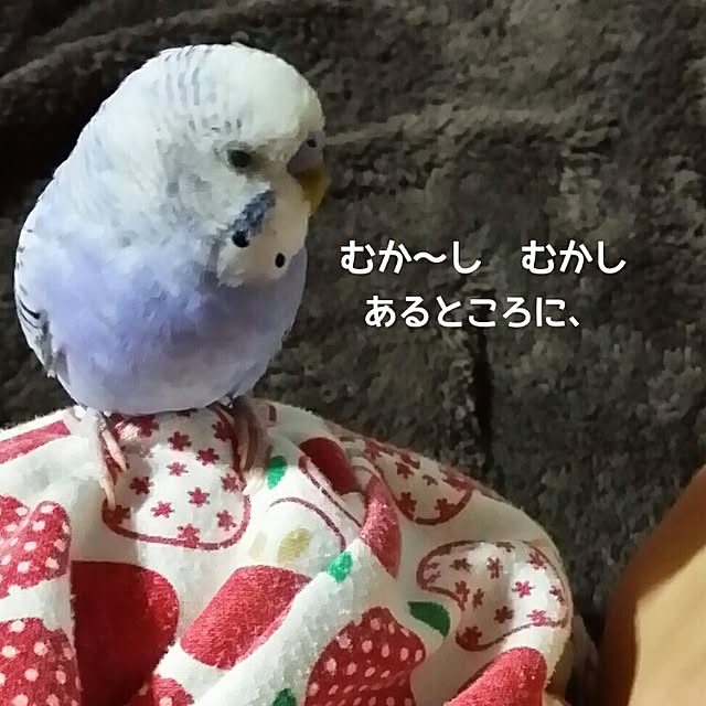karinさんの実例写真