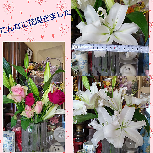 yumirinさんの実例写真