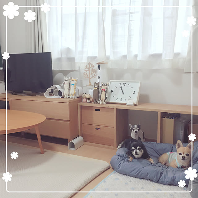 Emiさんの実例写真