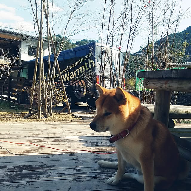 kosaさんの実例写真