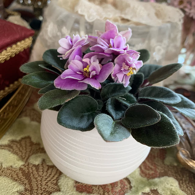 AYUKOさんの実例写真