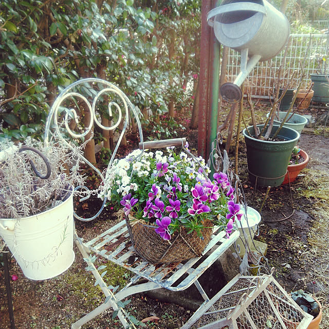 showさんの実例写真