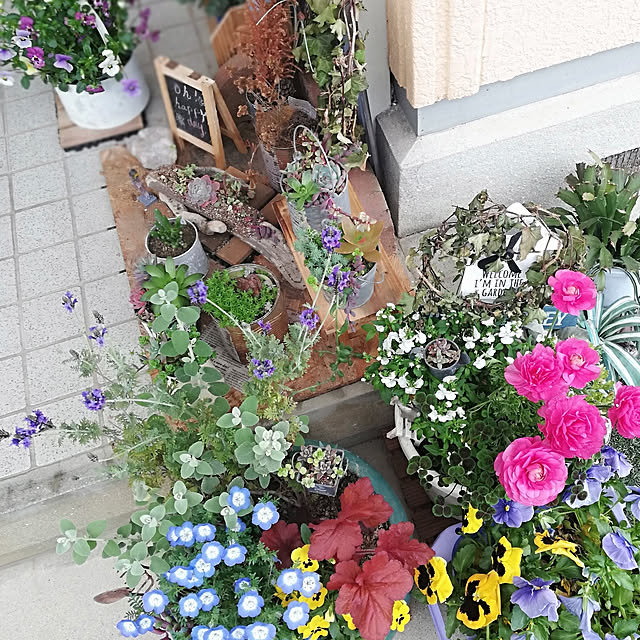 bambiさんの実例写真