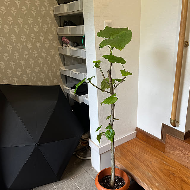 Attaさんの部屋