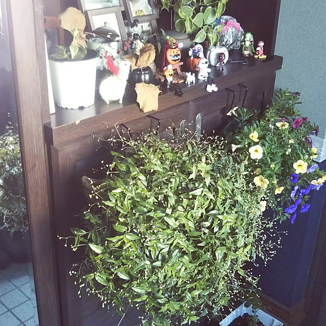 kiraさんの実例写真