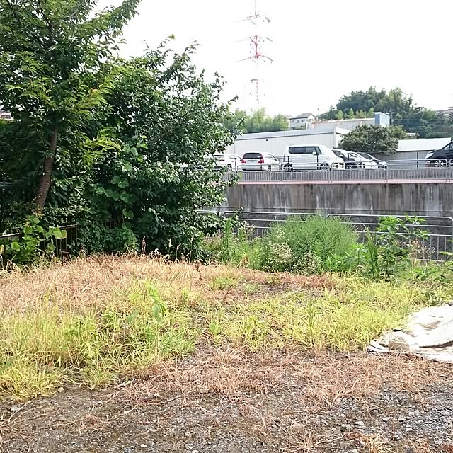 Hitomiさんの実例写真