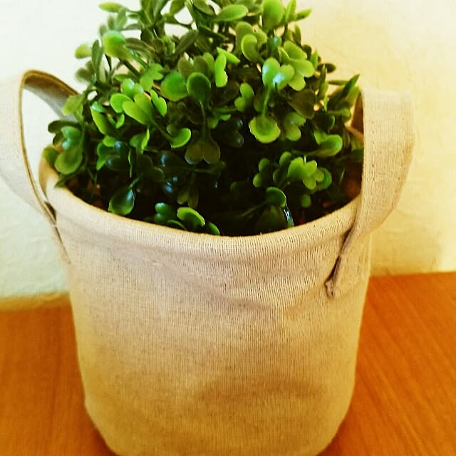 棚のインテリア実例 - 2014-01-11 11:09:48