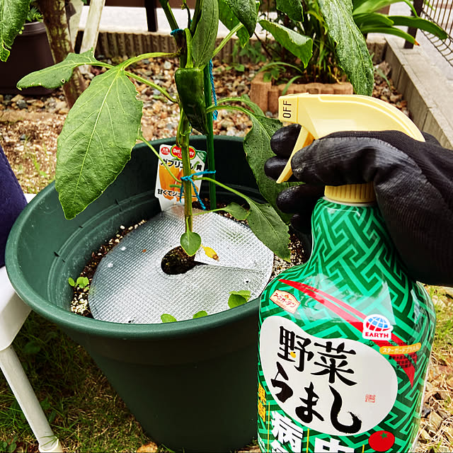 ippu0303Karinさんの実例写真
