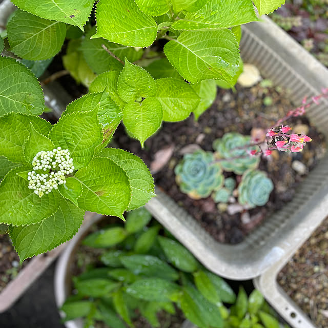 mutsuさんの部屋