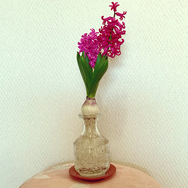 fuyiqian1026さんの実例写真