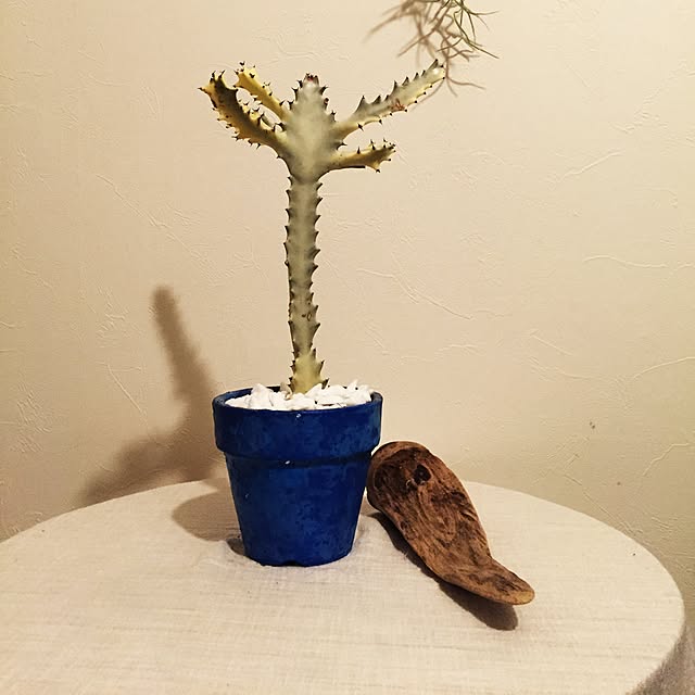 koujiさんの実例写真