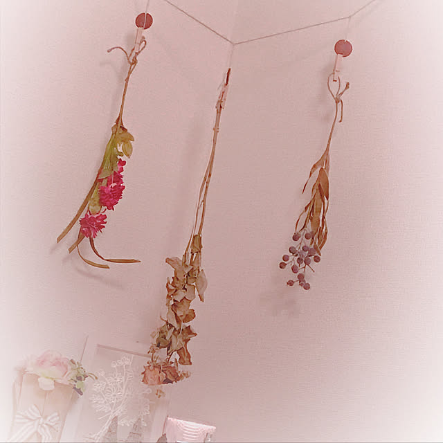 misaaさんの実例写真